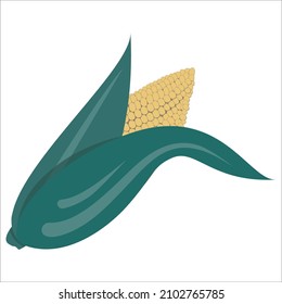 Corn cob. Corn on a white background. EPS 10.