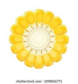 Corn cob. Organic food. Corncob natural meal. Ripe Maize. Product for cooking popcorn. Healthy eating. Vegetable. Realistic foodstuff. Isolated white background. EPS10 vector illustration.