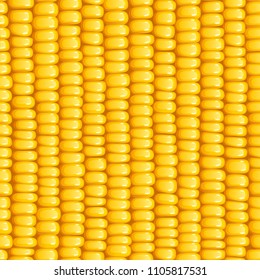 Corn cob. Organic food seamless pattern. Corncob natural meal. Ripe Maize. Product for cooking popcorn. Healthy eating. Vegetable. Realistic foodstuff. EPS10 vector illustration.