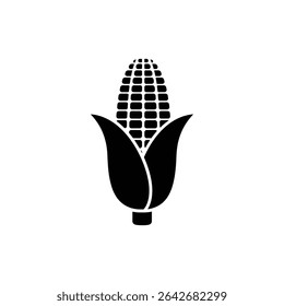 Corn cob with partial husk on white background