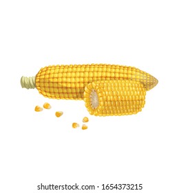 A corn cob with quarter of cob and seeds. Cartoon trendy style. Maize. Bright ripe vegetable. Vector illustration isolated on white background.