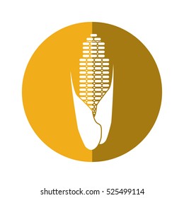 corn cob ripe leaves icon yellow circle
