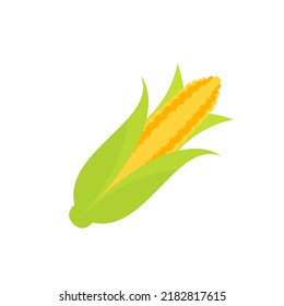 Corn cob vector icon line colored EPS 10. Harvest. Vegetable flat illustration.. Farm market product. Vegetarian food... Fresh healthy organic food... Crop concept for vegan. Isolated on white