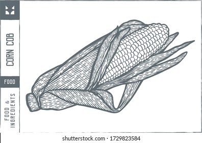 Corn cob  Vector illustration - Hand drawn - Out line