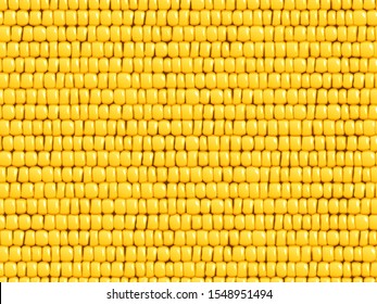 Corn cob vector texture. Seamless organic background. Rows of yellow kernels.  Cooked ear of freshly picked maize from a cultivar of sweet corn. Healthy vegetable food design. Sweet nature ingredient.