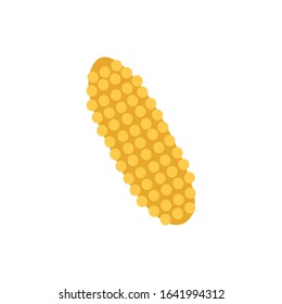 corn cob vegetable isolated icon vector illustration design