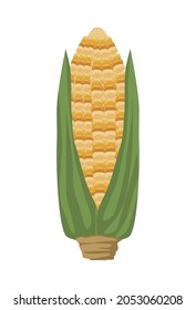 corn cob vegetable nature icon