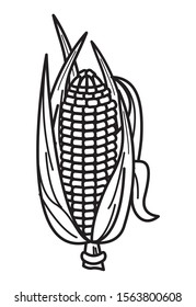 corn cob vegetable thanksgiving icon vector illustration design