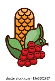 corn cob vegetable thanksgiving icon vector illustration design