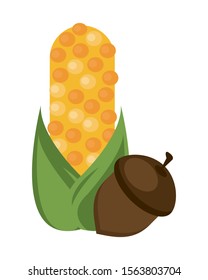 corn cob vegetable thanksgiving icon vector illustration design