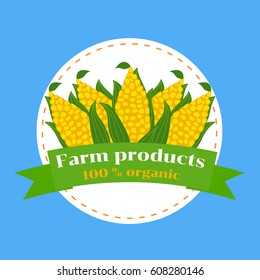 Corn cobs are a cartoon. Signs Farm product. Isolated on blue background. Vector.