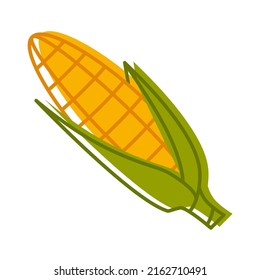 Corn cobs in flat style. Ripe corn vegetables. Vector