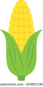 A Corn cobs flat vector white background design