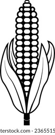 Corn cobs icon Vegetables logo Maize. Thin line art design, Vector outline illustration