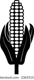 Corn cobs icon Vegetables logo Maize. Thin line art design, Vector outline illustration