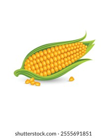 Corn cobs with leaves and grains stock illustration. Bright vector collection of colorful yellow corn isolated on white stock illustration