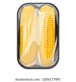 Corn cobs in plastic tray vector illustration. Cartoon isolated sweet ripe corncobs in supermarket package, ripe organic vegetable in styrofoam container with clear polyethylene wrapper, corn in pack