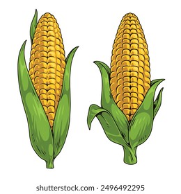 Las mazorcas de maíz fijan pegatinas coloridas con granos amarillos dentro de las hojas verdes para preparar el plato secundario o la Ilustración vectorial de ensalada de vitaminas