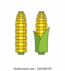 Corn cobs, thin line style. isolated on white background