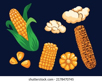 Corn collection set from seed, pop corn, and roasted corn. Yummy summer tropical food vector illustration with flat hand drawn art style.