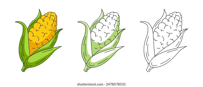 Corn, colorful and line icons set. Farm vegetable vector outline icon, monochrome and color illustration. Healthy nutrition, organic food, natural product. For sticker, logo, coloring book