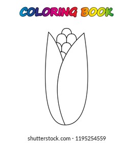 corn - coloring page. Worksheet. Game for kids -  coloring book. 