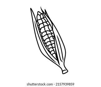 Corn creative design vector template