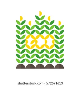 Corn crop and eco lettering