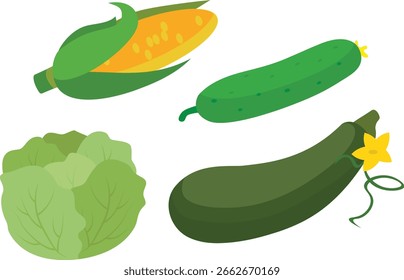 Maíz, pepino, repollo y calabacín, ilustración
