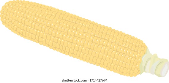 Corn is delicious when boiled or baked and eaten as it is