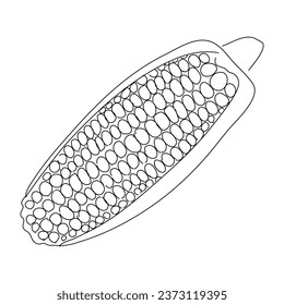 Corn doodle icon. Hand drawn black sketch. Vector editable stroke.
