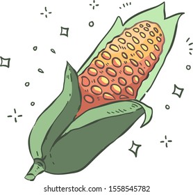 corn doodle . Corn vector illustration