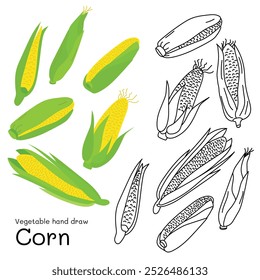 Corn doodle vegetable hand drawn outline and colors for kid, Package, labels Design element. Vector illustration