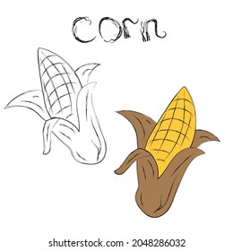 Icono de dibujo de maíz. Colores para los niños. Verduras. Ilustración del vector