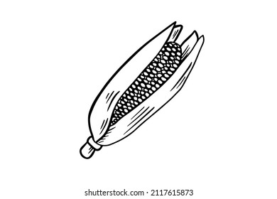Corn drawn with a black outline. Vector graphics