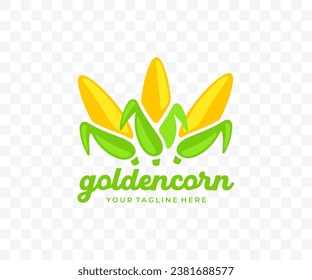 Corn, ear corn, corn cob, maize, food and meal, graphic design. Cob, sweet corn, plant, vegetable, agriculture and farming, vector design and illustration