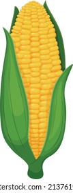 Maíz. Una oreja de maíz amarillo maduro envuelta en hojas verdes. Ilustración del vector aislada en un fondo blanco