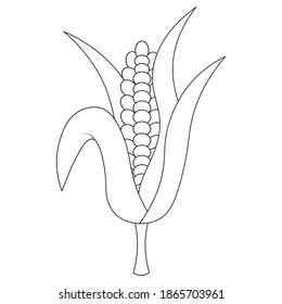 Corn. An ear of corn is wrapped in leaves. Vector illustration. Outline on an isolated white background. Doodle style. Sketch. Juicy grains. Vegan food. A healthy vegetable. Harvesting. 