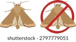 Corn earworm moth (Helicoverpa zea) vector illustration isolated on white background. Agricultural pest insect for farming, crop protection, biology education, entomology and pest management.