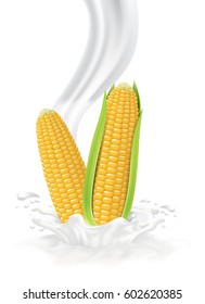 Corn falling into the milky splash. Vector illustration