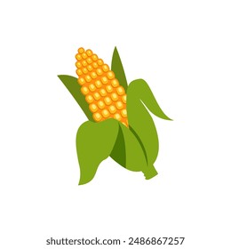 Corn farm logo template, corn vector icon.