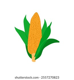 Corn, Farming Flat Vector Illustration