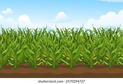 Corn Field Background Illustration, Cartoon Corn Field Vector