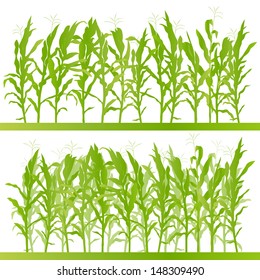 Corn Field Detailed Countryside Landscape Illustration Background Vector