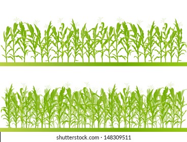 Corn field detailed countryside landscape illustration background vector