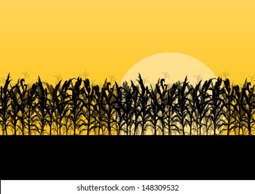 Corn Field Detailed Countryside Landscape Illustration Background Vector