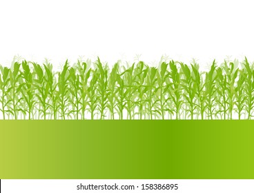 Corn Field Detailed Countryside Landscape Ecology Illustration Background Vector