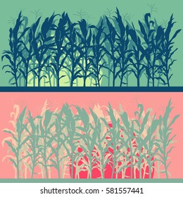 Corn field evening or morning light landscape vector background set