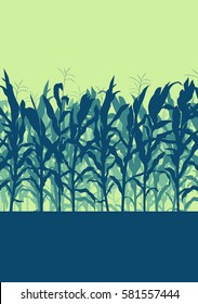 Corn field evening or morning light landscape vector background