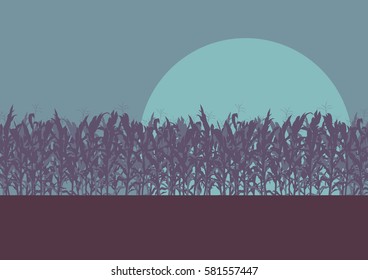 Corn Field Evening Or Morning Light Landscape Vector Background